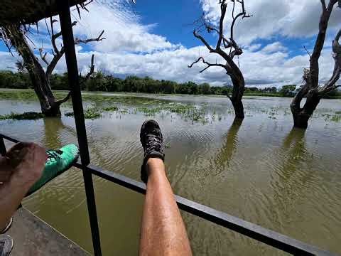Catamaran au Srilanka