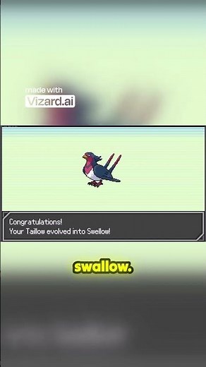Taillow Evolves into the Mighty Swellow!