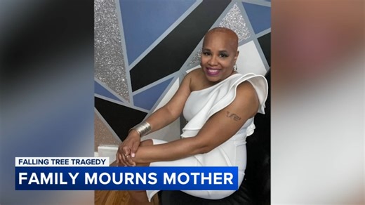 Woman killed when tree fell on her car remembered as loving grandmother, entrepreneur