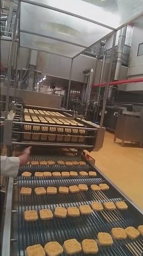 Fried Noodles Production Process in an Automation Factory