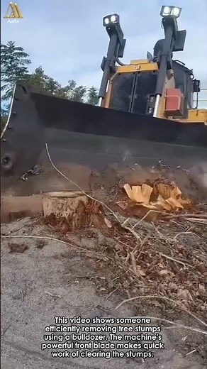 Stump Removal with a Bulldozer