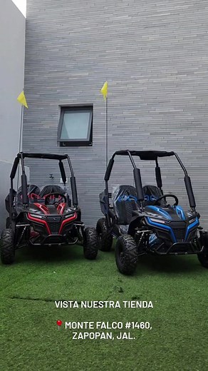 Mini RZR Infantil: Aventura Sobre Ruedas para Niños