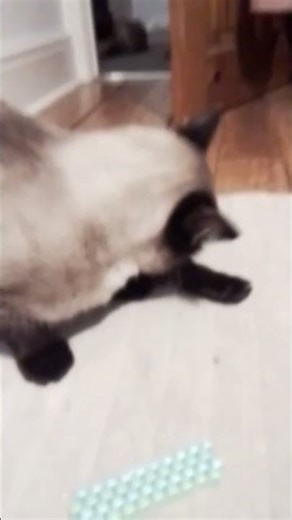 making my first peyote stitch :0 (in a begginer kandi kid) #kandi #emojicat #goviral