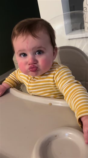 Blue steel baby #bluesteel #zoolander #funnyfaces #fyp