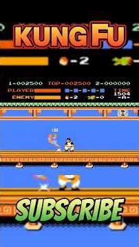 Kung Fu | NES | Classic Retro Action!