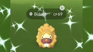Why is shiny Bidoof so popular in Pokemon GO?