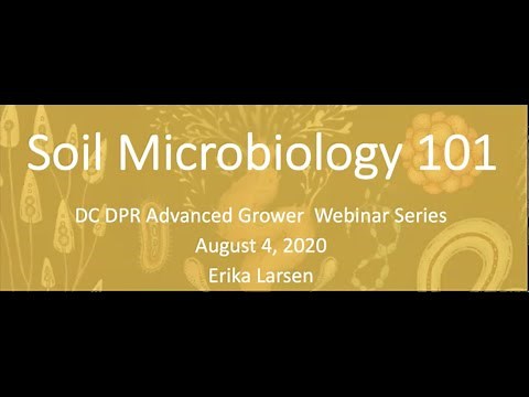 Soil Microbiology 101