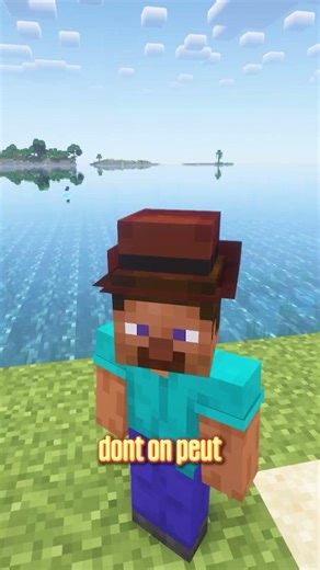 Des ornithorynques sur Minecraft ? 🤣