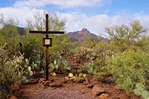 Go Into the Desert this Lent - Busted Halo