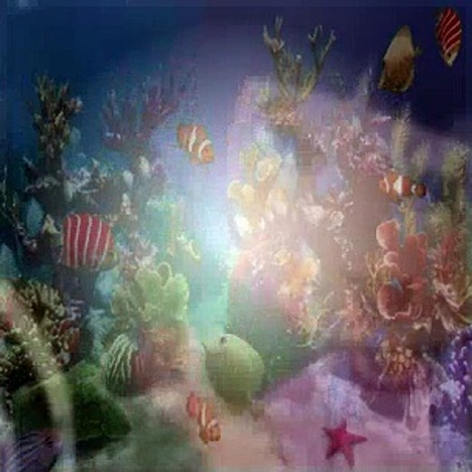 Dora The Explorer S04E01 Star Catcher