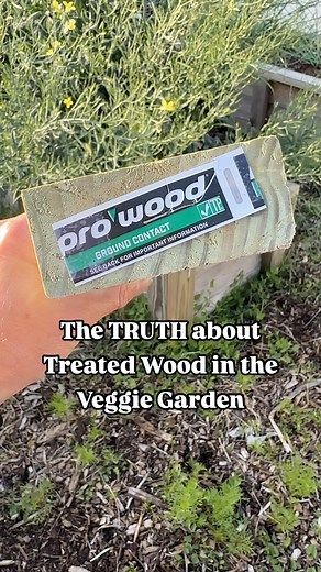 4K views · 83 reactions | The TRUTH about Treated Wood  Some of the...