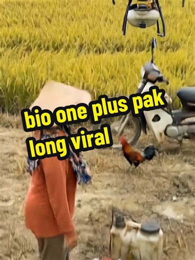 Maximize Your Gardening with Essential Tools and Hacks