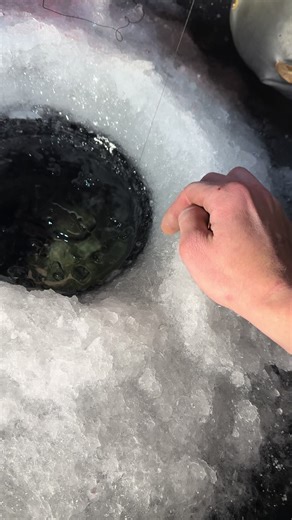 #walleyefishing #icefishing #southdakota | Walleye Fishing