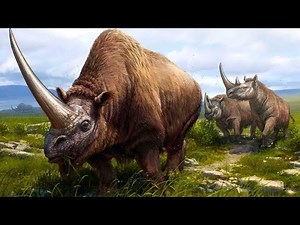 Why Did The Woolly Rhino Go Extinct?