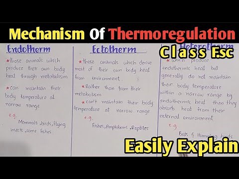 Mechanism Of Thermoregulation | Ectotherm | Endotherm | Heterotherm | Poikilotherm | Homeotherm