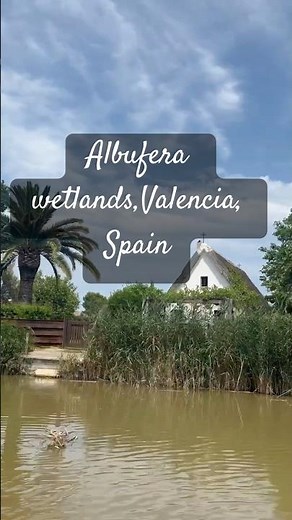 Valencia’s Secret Wetlands – Albufera Boat Adventure!”🇪🇸🇪🇸