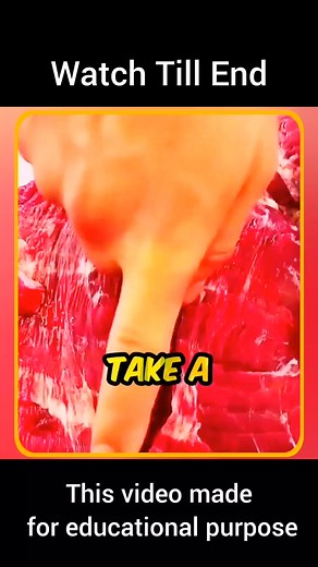 3.4K views | Interested Facts & Powerful Stories #UnseenFacts #foryou #foryoupage #HistoryShorts #fyp #MindBlowingFacts #StoryTimeShorts #DidYouKnow #KnowledgeShorts #ViralFacts #DailyFacts #Shorts #AmazingFacts #WorldFacts #ShortsStory | Fact Dose | Facebook