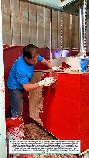 Waterproof Edges! Pro Plywood Edge Coating Technique 🪵🔴