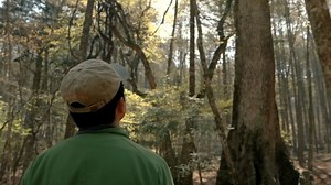 Wood-Mizer is more than just our sawmills. As employees and...