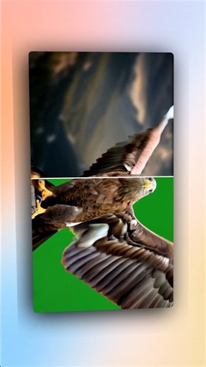 How to Remove Green Screen In Capcut #videoediting #capcut