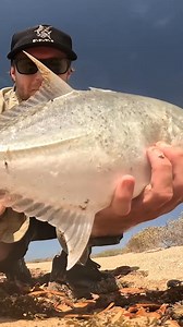 Catch and Cook Australia #fishing #outdoorsurvival #fish #primitivesurvival #cooking | Field Days