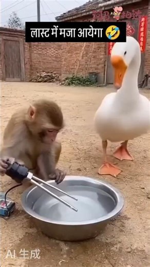 Animal funny clips 😂#shorts #funnyshorts #animalsfunny #ytshorts