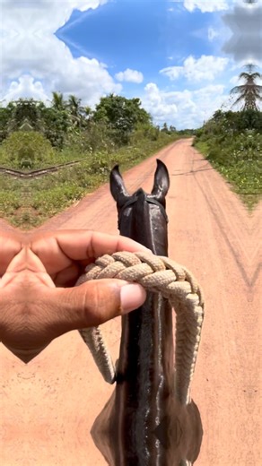Renildo-Silvaa | Com Deus à frente, o trabalho vira propósito e o esforço vira vitória. | Instagram