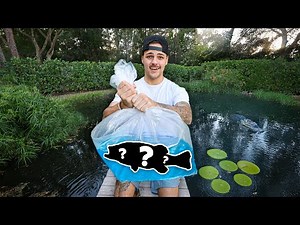 STOCKING My BackYard POND with MONSTER FISH!!
