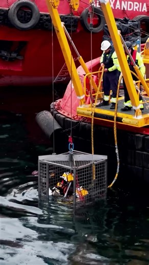 “A new day of offshore commercial diving means the same discipline, the same responsibility, and the same passion for working underwater. Operating to the highest IMCA standards—because in offshore commercial diving, safety starts before the first descent and never stops at the surface” NemoProDiving 🇷🇴