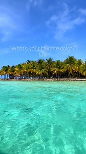 “What’s your favorite color?” Me: This. The color is turquoise, the vibe is Moho Caye, and the feeling? Unreal. 🌊✨ #TravelBelize #Belize | Travel Belize