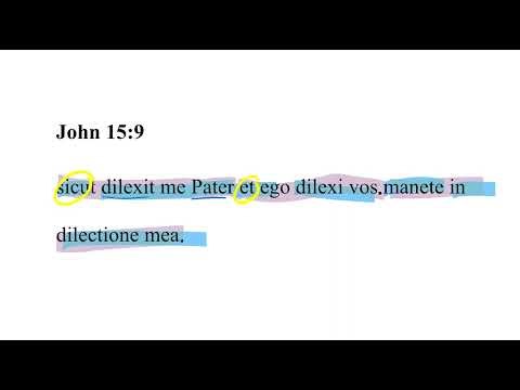 John 15:9 Latin Vulgate