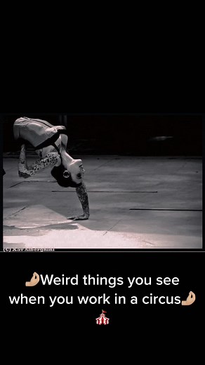 Weird things you see when you work at the circus 🤌🏼🎪🤌🏼 (part 1!) #wereldkerstcircus #circuslife #circuslifestyle #circushorse #circusbackstage #carreamsterdam #carretheatre