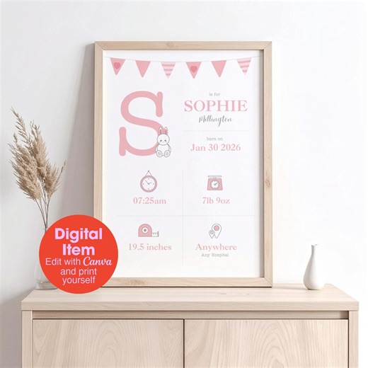 Personalised Baby Boy or Girl Birth Announcement Details Poster, Blue or Pink Nursery Decor, Baby Shower, Free Social Media Post Included - Etsy