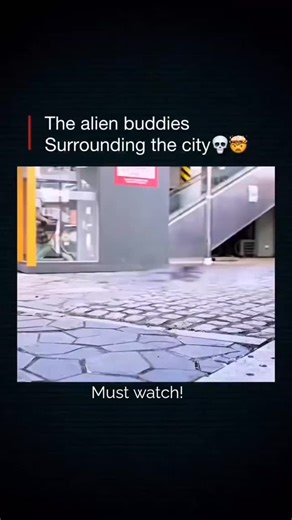 Emily Mikhilov | 🚨 ALIEN BUDDIES HAVE ARRIVED! 🛸🥺🥹 🚨 Ever wondered what happens when the cutest squad from outer space decides to crash the party... right... | Instagram