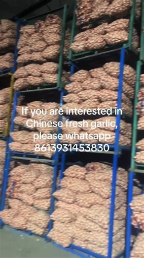 Ms. Kitten on Instagram: "CHINESE FRESH GARLIC WOOHOO C: @/tangshanbichaotradingcom on TT"