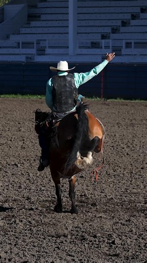 Lake County sure knows how to raise kids with grit. Lake County Jr. Rodeo Photos are still available here: https://primalcowgirlcollective.pixieset.com/lakecountyjuniorrodeo/ #Juniorrodeo #rodeovideography #primalcowgirlcollective #kidswithgrit | Primal Cowgirl Collective