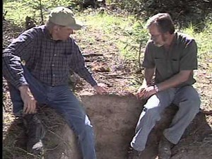 The Luvisolic Order - Canadian Soil Classification Series