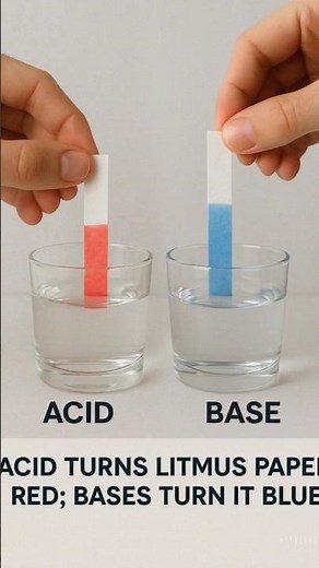 Acid turns litmus paper red; bases turn it blue. #science #chemistry #technology #scinceexperiment
