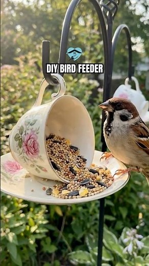 Easy DIY Bird Feeder for Your Backyard