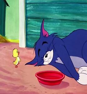 #tomandjerry #cartoon #animation #tom#jerry#tomandjerry#jerryandtom#a... ( (12)
