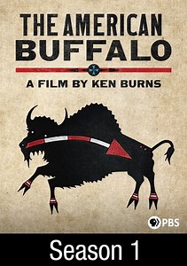 The American Buffalo: Trailer