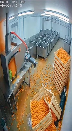 That's NOT how you make orange juice... 🍊🤦‍♂️ #cctv #kitchenfail