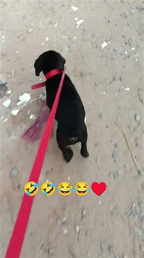 Daily mini shorts 😂 ❣️ #trending #viral #funny #shorts