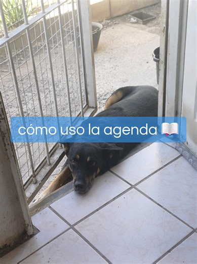 Cómo organizarse con una agenda para el 2026
