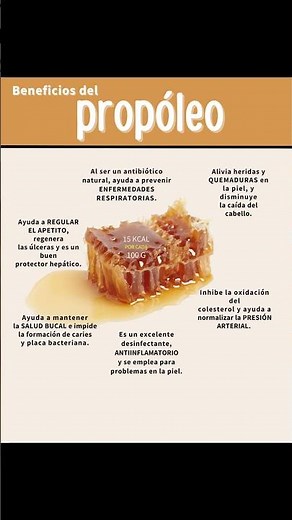 ¡El Escudo de la Naturaleza! 6 Sorprendentes Beneficios del Propóleo para tu Salud