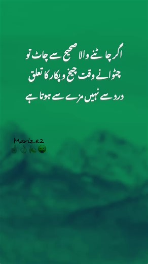 TikTok Team, Please Don't Under Review My Video!