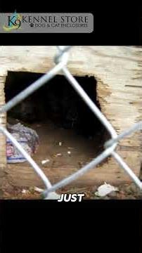 K9 Kennel Castle: Chew-Proof Outdoor Dog House for Large & Giant Breeds