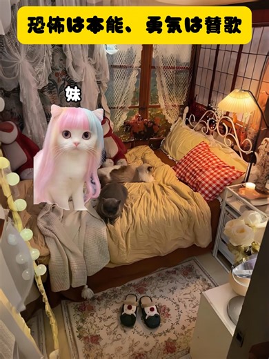 恐怖は本能、勇気は賛歌 - 猫ミームの魅力