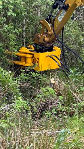 2.9K views · 16 reactions | The TS02 mini excavator Tree Shear; powerful enough to cut, light enough to work at reach. Quality British manufacture and spares backup you can rely on. | DIGBITS | Facebook