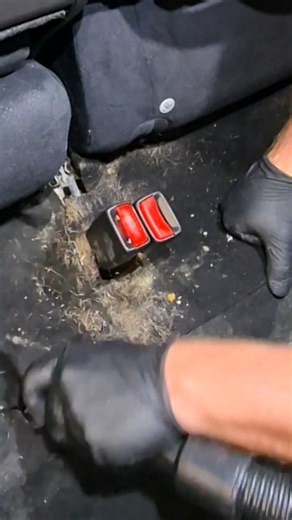 11 hour Deep Clean Detail for this Civic! Join us for the interior, focusing on removing dog hair and grime build up. Making it ready for the new owner! A thorough vacuum and steam clean restored freshness and eliminated bacteria. Front seats removed to gain access to the intricate areas, rear seats folded up just right to get underneath 'um If you think your vehicle would benefit from this service, get on touch 🤝 Clean inc. Detailing Studio Based with Mobile Services. ▫️Restorative Deep Cleani